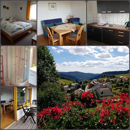 Haus Sonneck * Todtnauberg