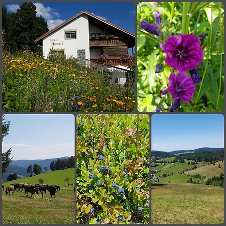 Haus Sonneck *